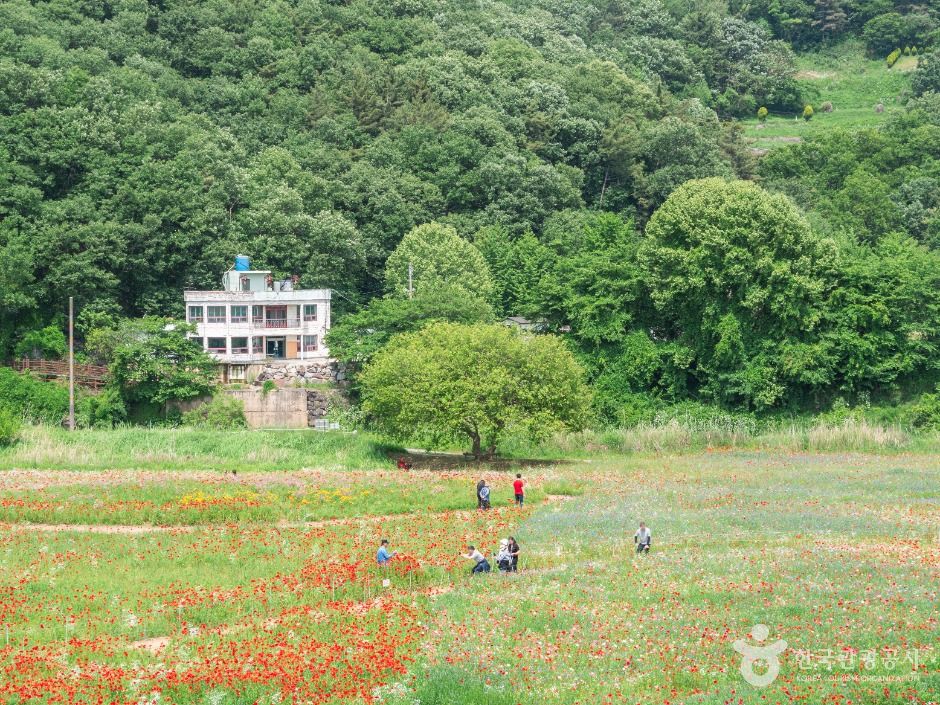 악양둑방 여행 추천 - 메고지고 악양둑방 여행 추천 - 메고지고
