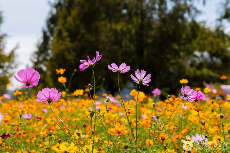 호국의병의숲친수공원 여행 추천 - 메고지고 호국의병의숲친수공원 여행 추천 - 메고지고