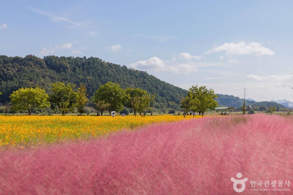 호국의병의숲친수공원 여행 추천 - 메고지고 호국의병의숲친수공원 여행 추천 - 메고지고