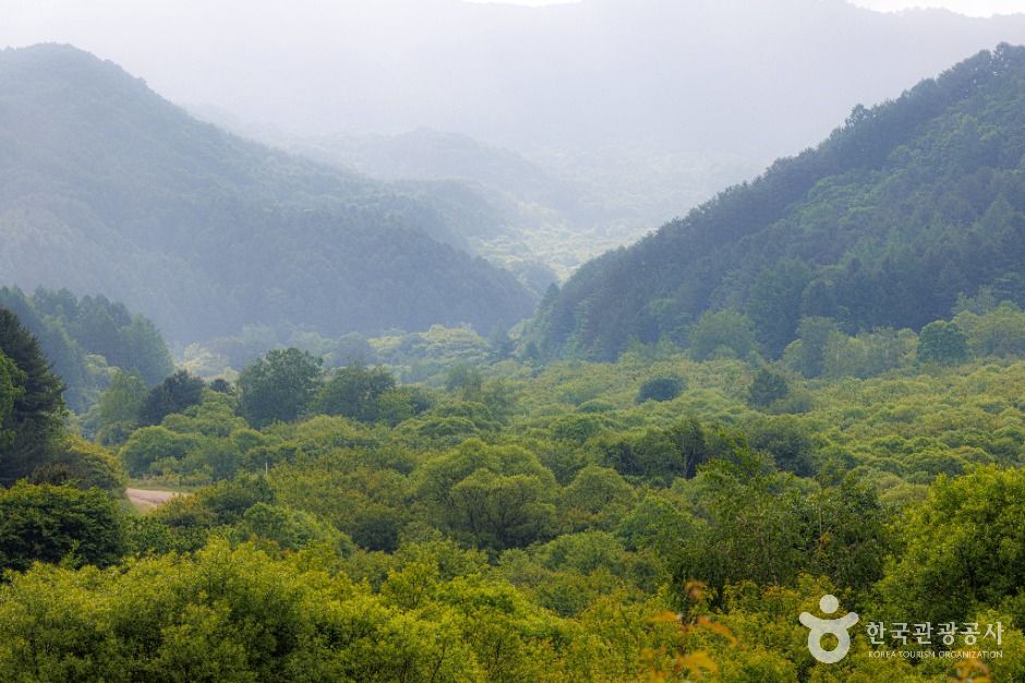 비밀의정원 여행 추천 - 메고지고