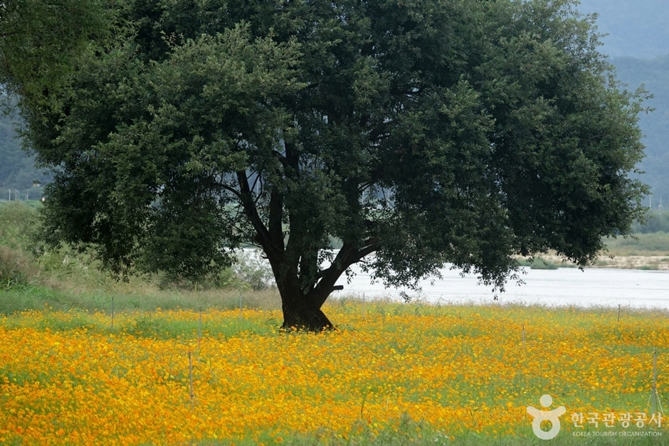 핫들생태공원 여행 추천 - 메고지고