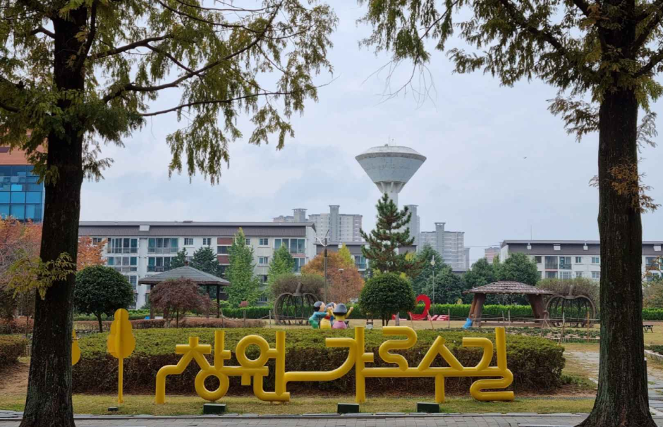창원 가로수길 여행 추천 - 메고지고 창원 가로수길 여행 추천 - 메고지고