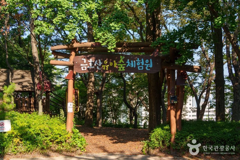 남산자락숲길 여행 추천 - 메고지고