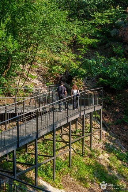 남산자락숲길 여행 추천 - 메고지고