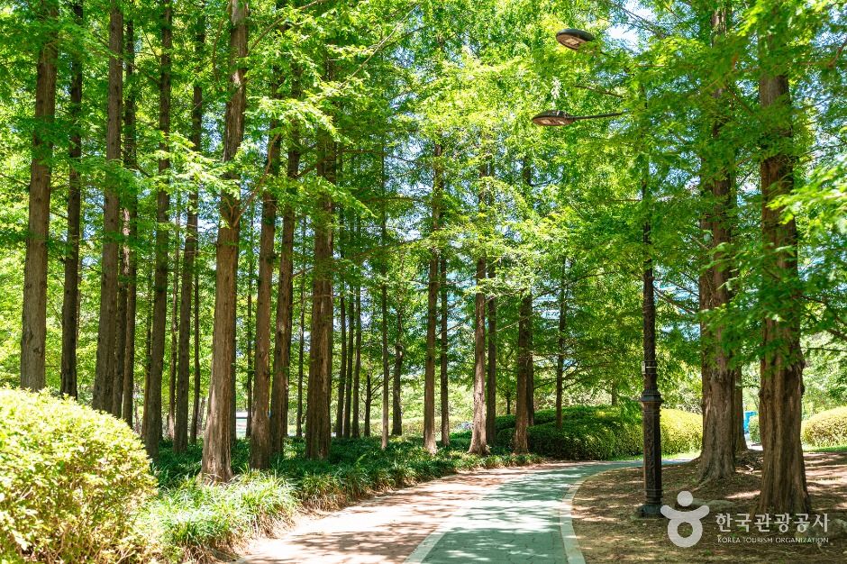 일산호수공원 여행 추천 - 메고지고 일산호수공원 여행 추천 - 메고지고