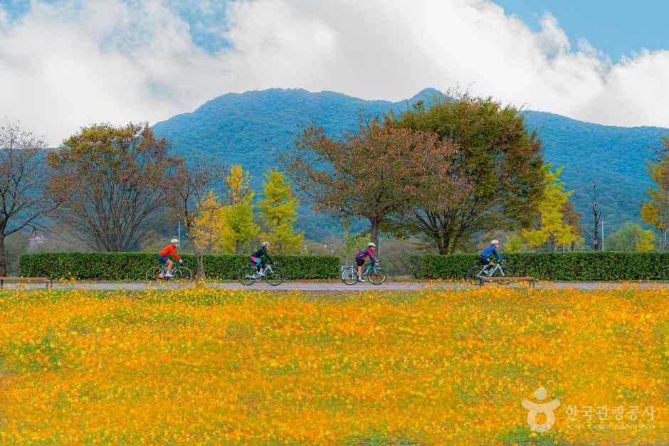 물의 정원 여행 추천 - 메고지고 물의 정원 여행 추천 - 메고지고