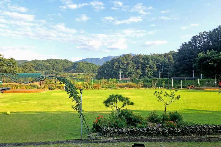 새움정 여행 추천 - 메고지고 새움정 여행 추천 - 메고지고