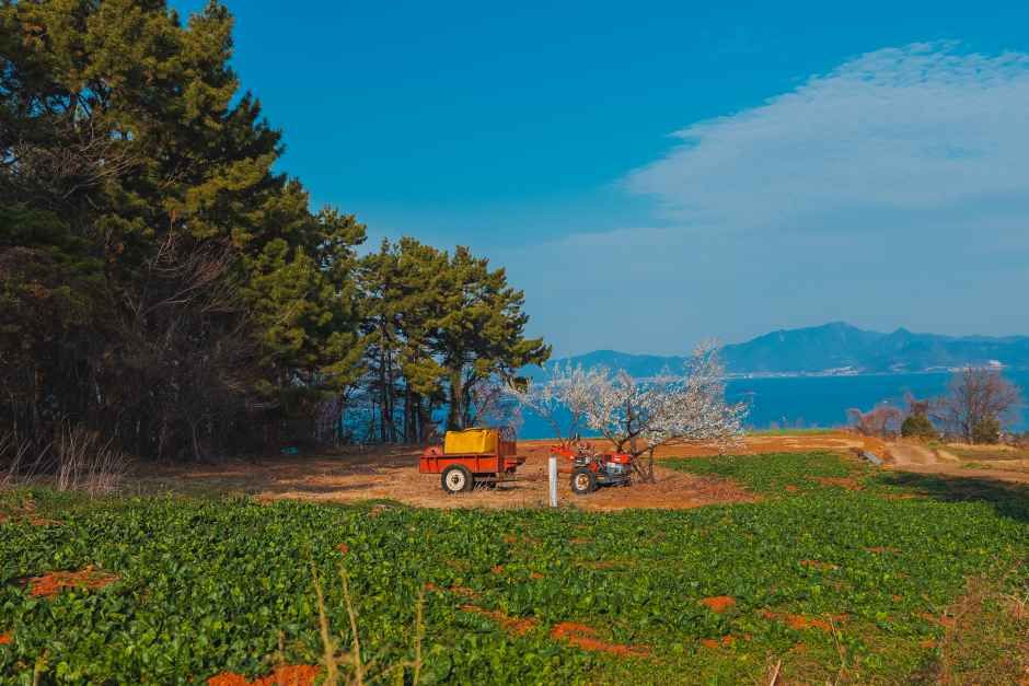 [남해바래길 15코스] 구두산목장길 여행 추천 - 메고지고