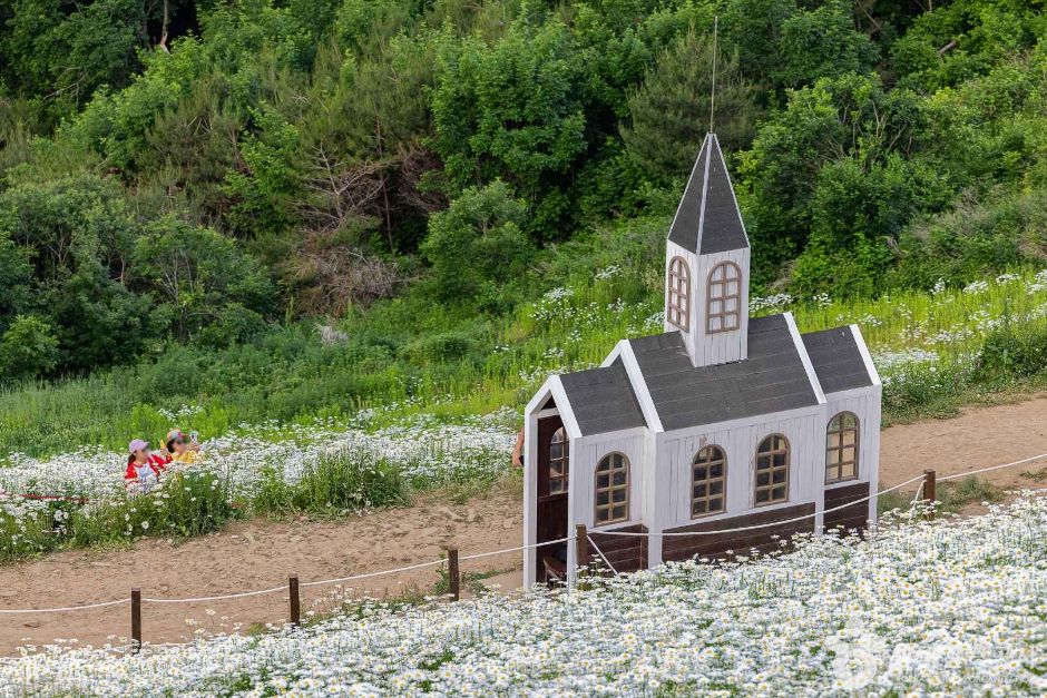 평창 육백마지기 여행 추천 - 메고지고 평창 육백마지기 여행 추천 - 메고지고
