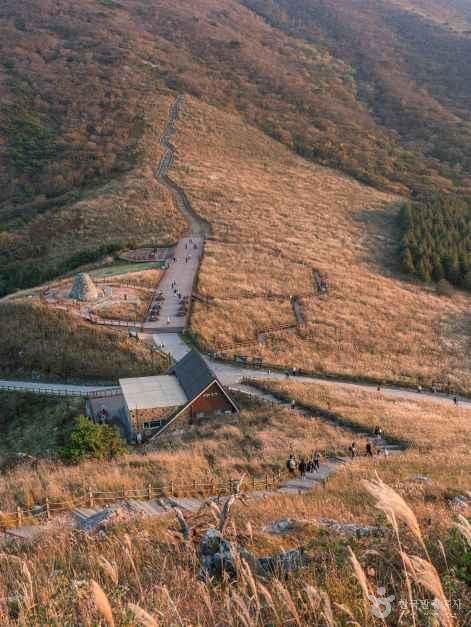 간월재 여행 추천 - 메고지고 간월재 여행 추천 - 메고지고