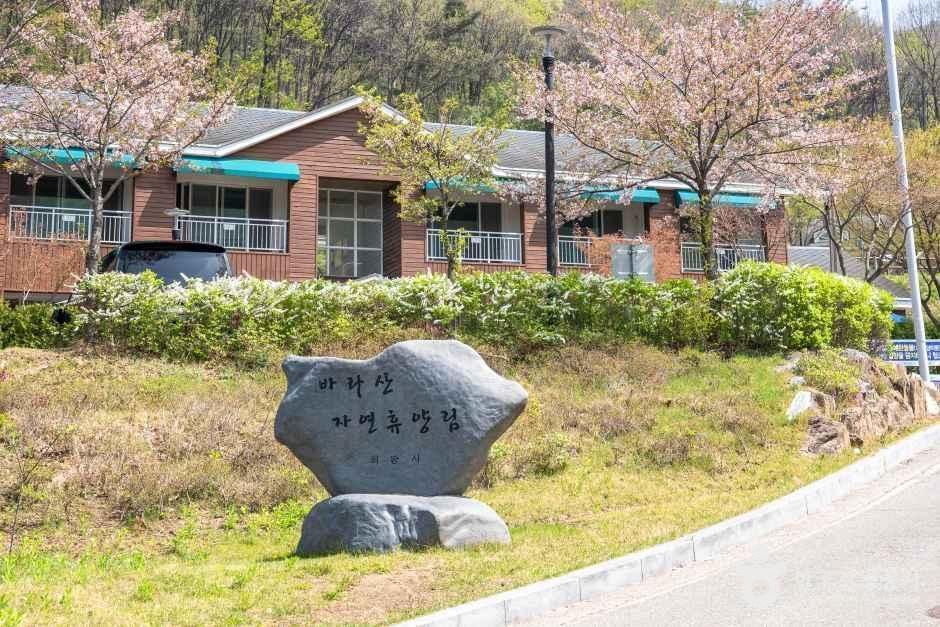 바라산자연휴양림 여행 추천 - 메고지고