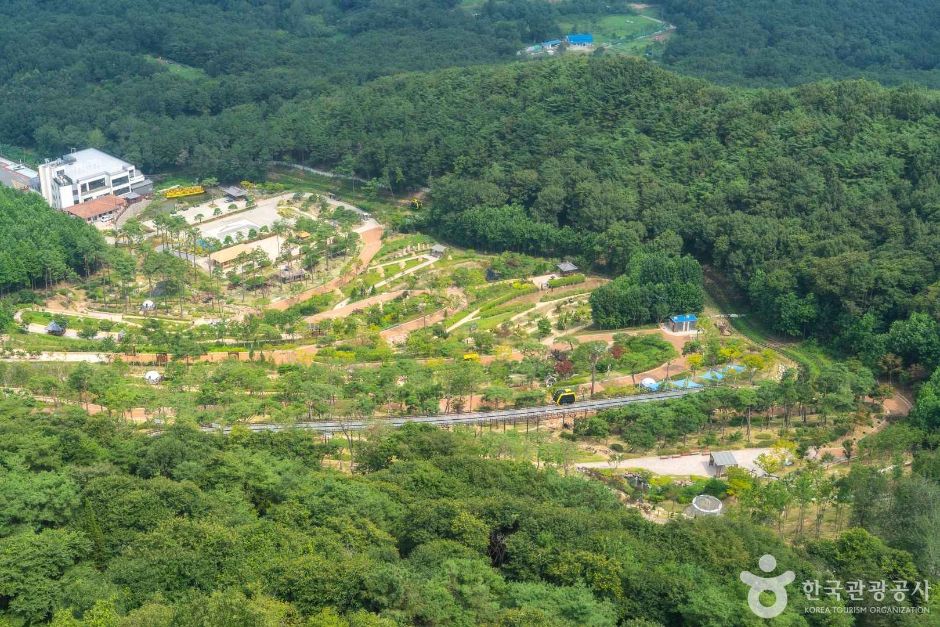 화개정원 여행 추천 - 메고지고 화개정원 여행 추천 - 메고지고