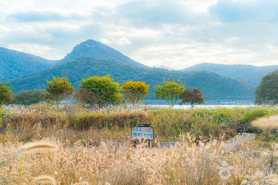 마음정원 여행 추천 - 메고지고 마음정원 여행 추천 - 메고지고