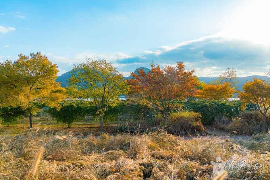 마음정원 여행 추천 - 메고지고 마음정원 여행 추천 - 메고지고