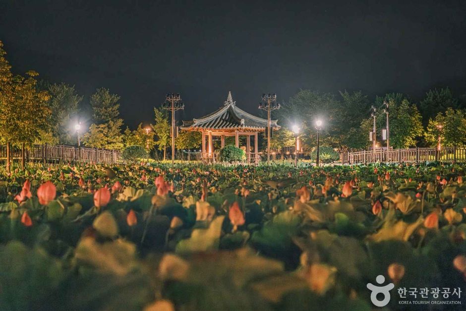 신정호관광지 여행 추천 - 메고지고 신정호관광지 여행 추천 - 메고지고