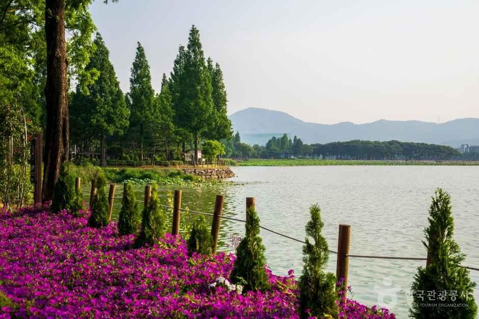 신정호관광지 여행 추천 - 메고지고 신정호관광지 여행 추천 - 메고지고