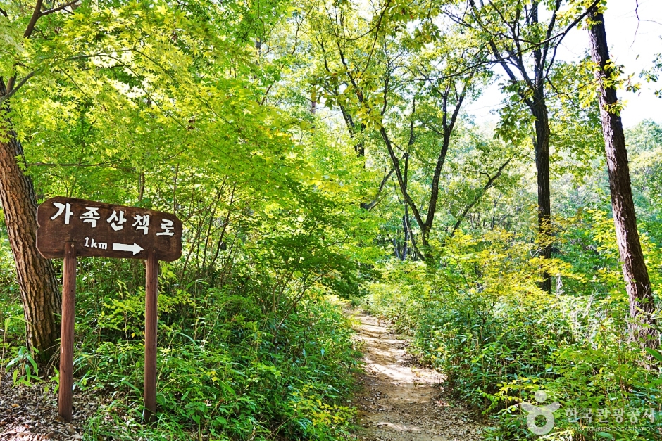 국립대야산자연휴양림 여행 추천 - 메고지고