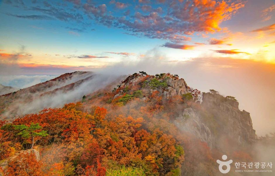 대둔산도립공원(전북) 여행 추천 - 메고지고 대둔산도립공원(전북) 여행 추천 - 메고지고