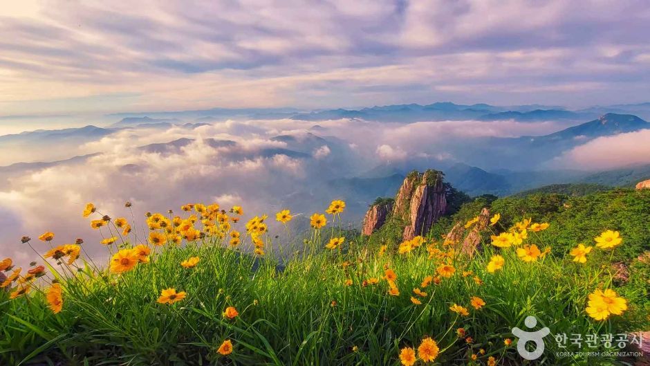 대둔산도립공원(전북) 여행 추천 - 메고지고 대둔산도립공원(전북) 여행 추천 - 메고지고