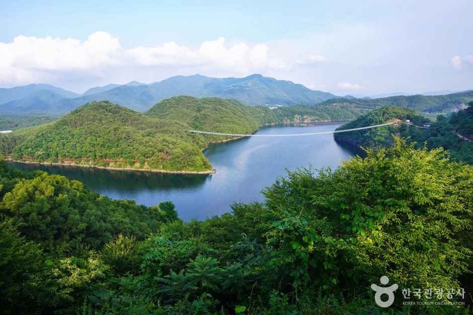초평저수지 여행 추천 - 메고지고 초평저수지 여행 추천 - 메고지고