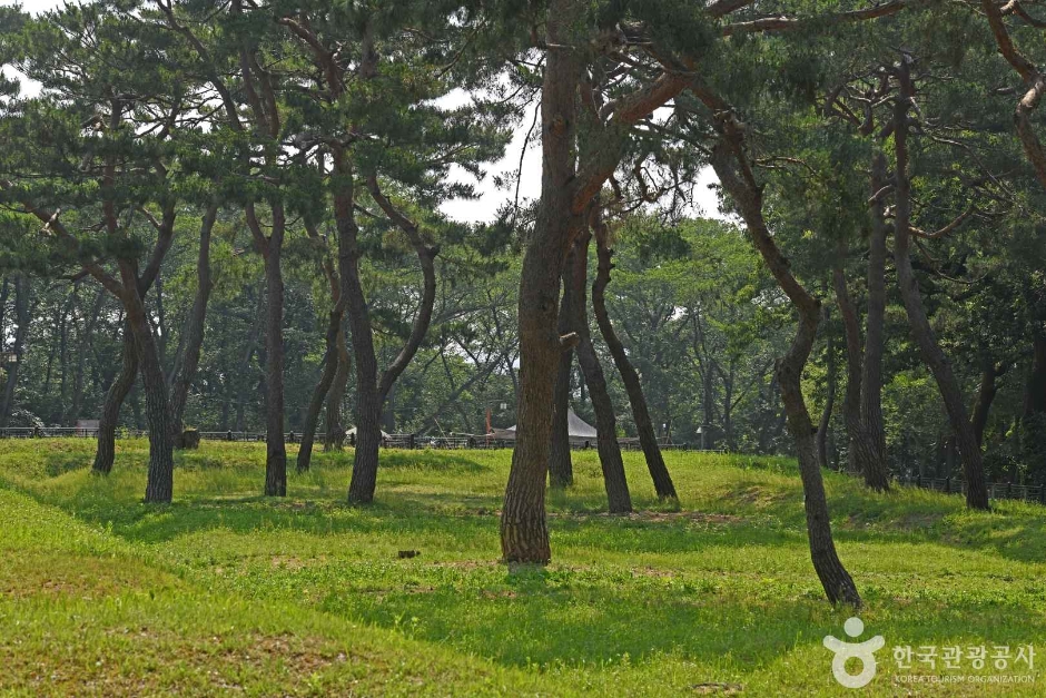 군창지 여행 추천 - 메고지고 군창지 여행 추천 - 메고지고