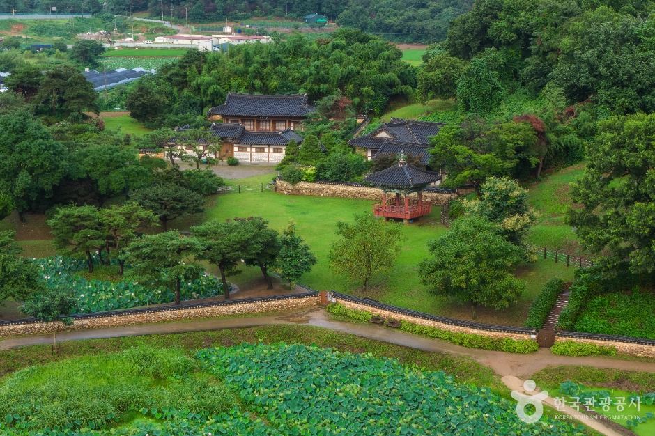 관곡지 여행 추천 - 메고지고