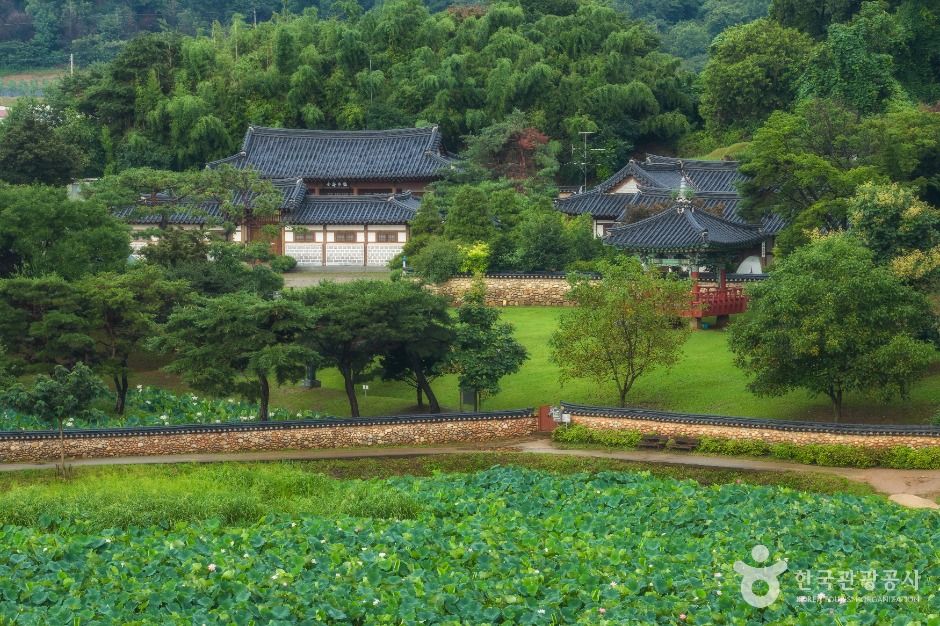 관곡지 여행 추천 - 메고지고