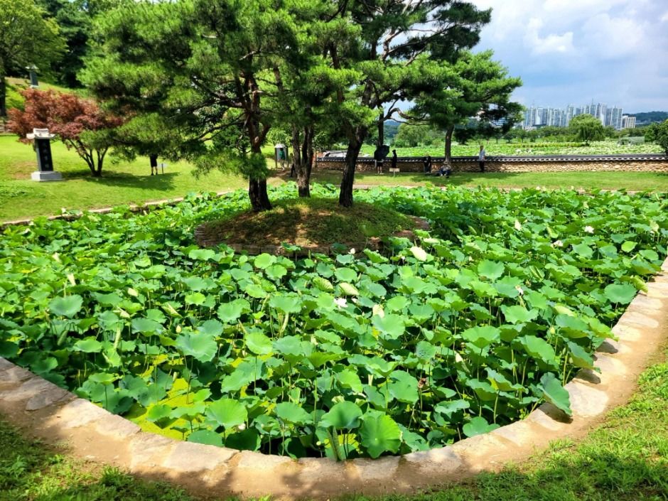 관곡지 여행 추천 - 메고지고