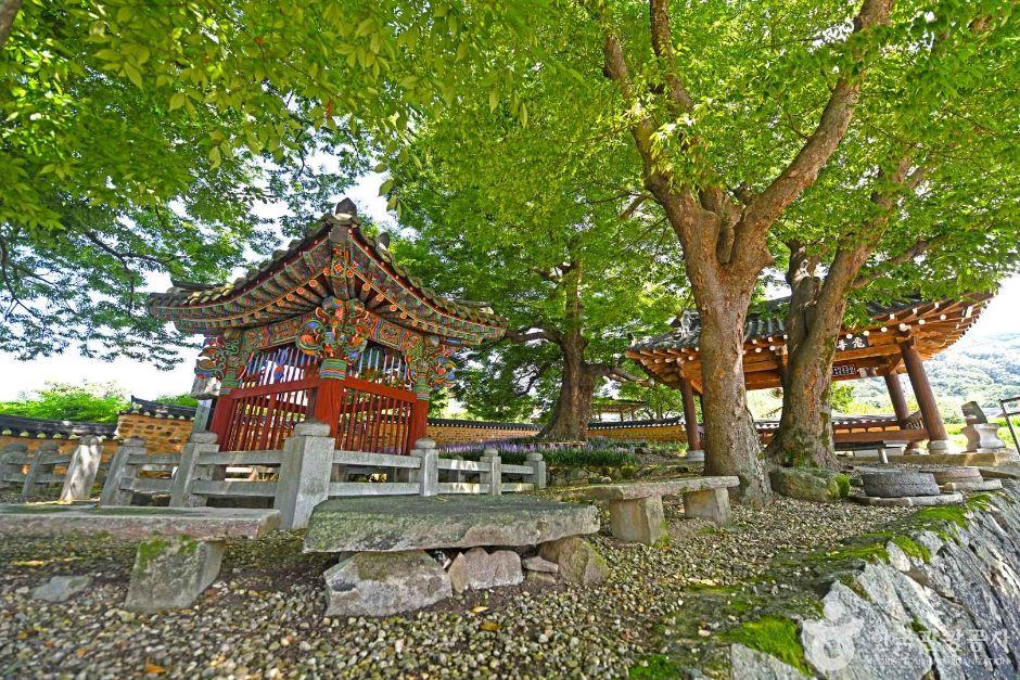 순창 거북장수마을 [농촌전통테마] 여행 추천 - 메고지고