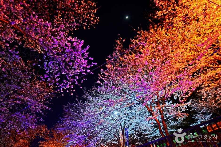 여좌천(여좌천로망스다리) 여행 추천 - 메고지고