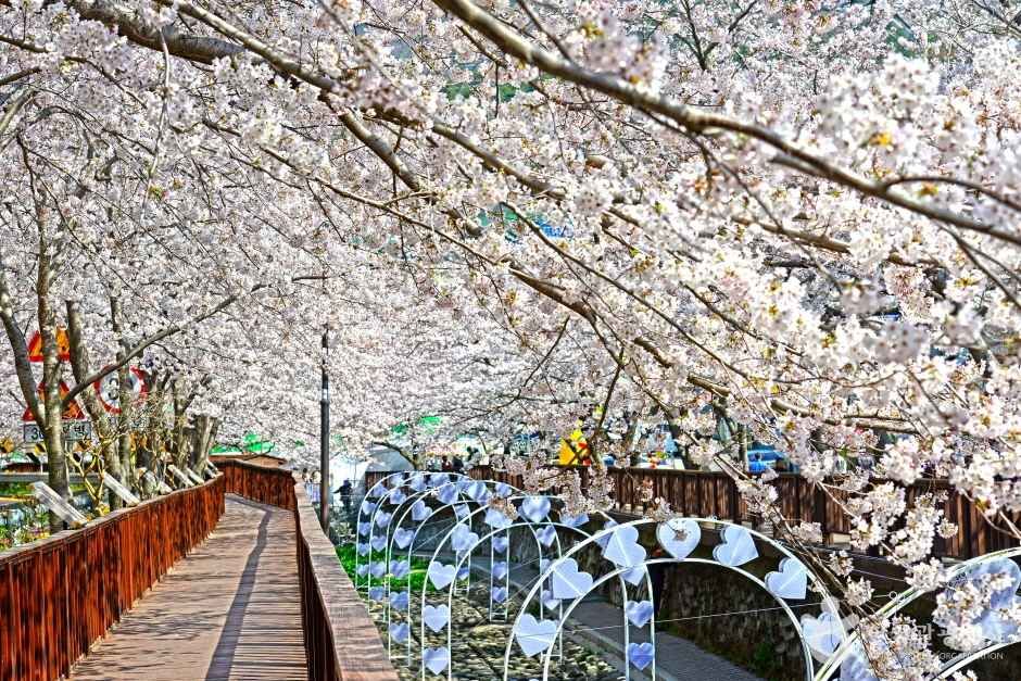여좌천(여좌천로망스다리) 여행 추천 - 메고지고