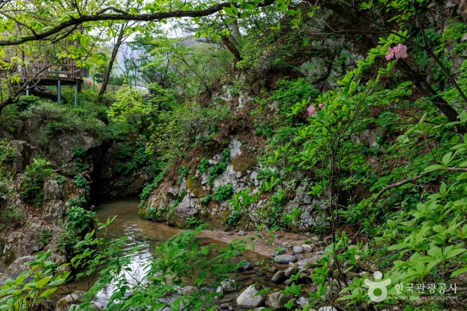 팔랑폭포 여행 추천 - 메고지고