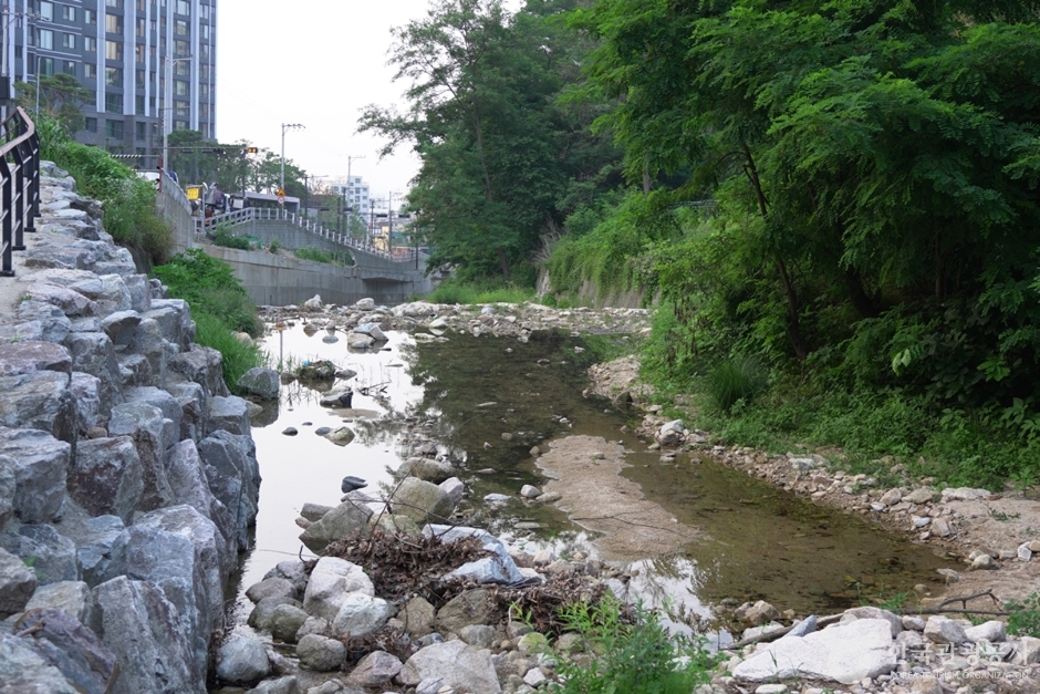 안골계곡 여행 추천 - 메고지고 안골계곡 여행 추천 - 메고지고