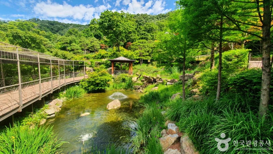 화담숲 여행 추천 - 메고지고 화담숲 여행 추천 - 메고지고