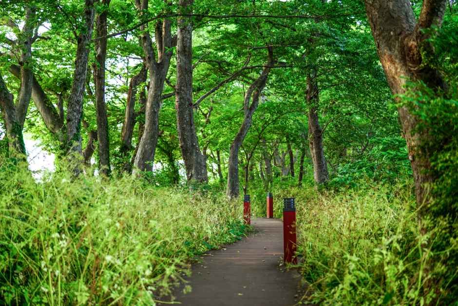[남해바래길 6코스] 죽방멸치길 여행 추천 - 메고지고