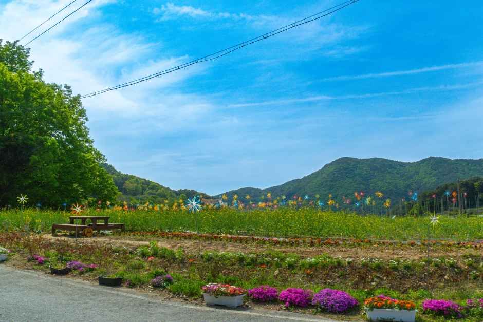 [남해바래길 6코스] 죽방멸치길 여행 추천 - 메고지고