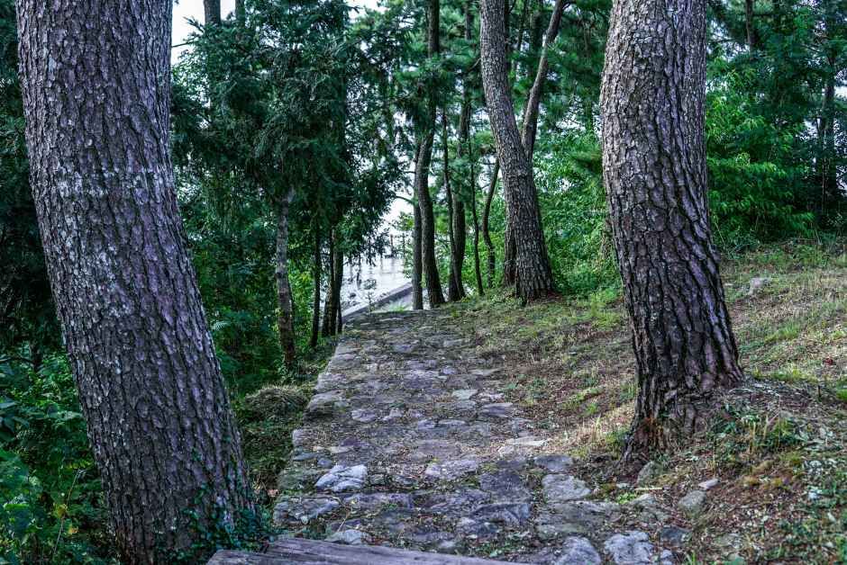 [남해바래길 2코스] 비자림해풍길 여행 추천 - 메고지고