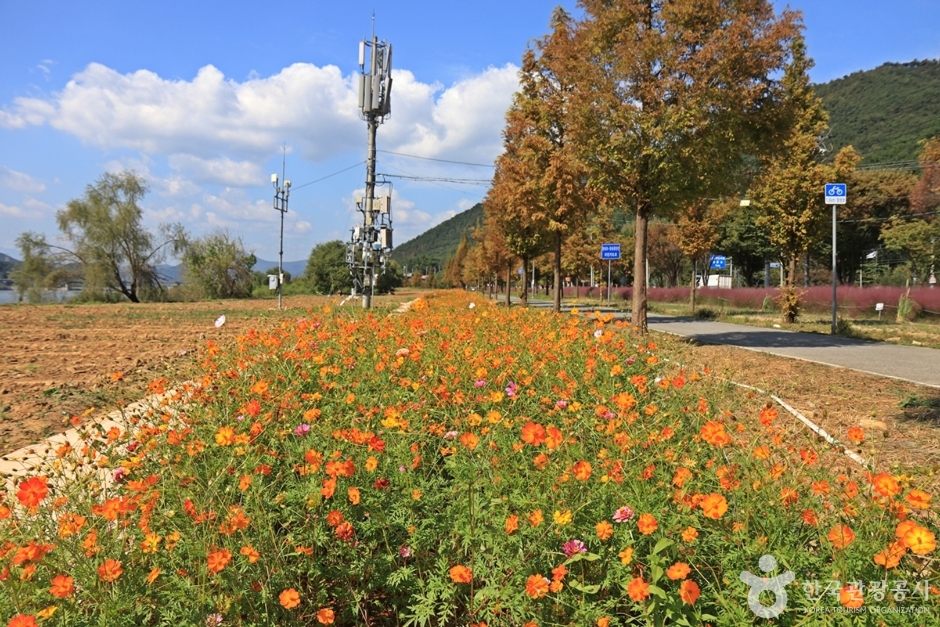 논공꽃단지 여행 추천 - 메고지고