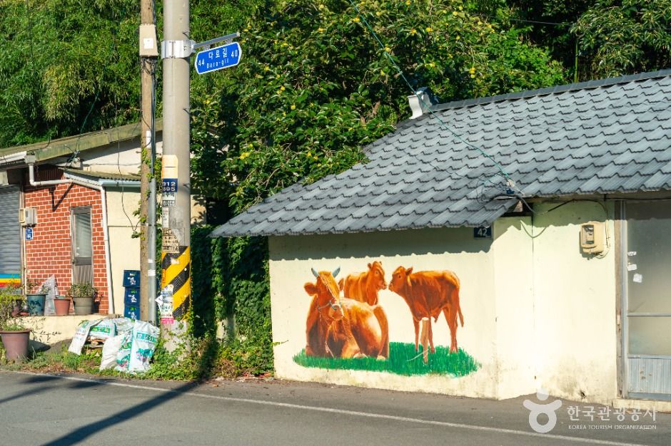 다로리벽화마을 여행 추천 - 메고지고 다로리벽화마을 여행 추천 - 메고지고