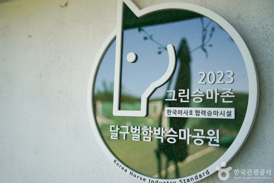 달구벌승마공원 여행 추천 - 메고지고 달구벌승마공원 여행 추천 - 메고지고