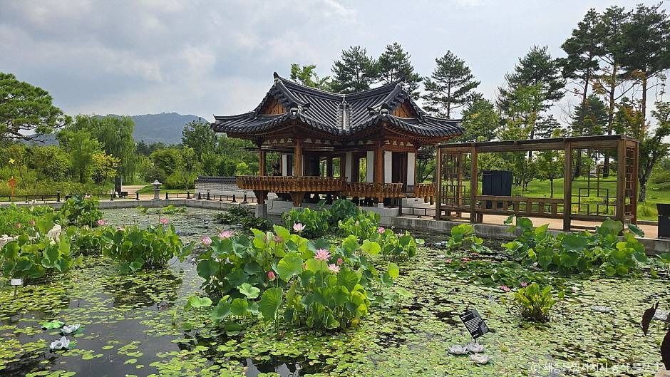 국립세종수목원 여행 추천 - 메고지고 국립세종수목원 여행 추천 - 메고지고