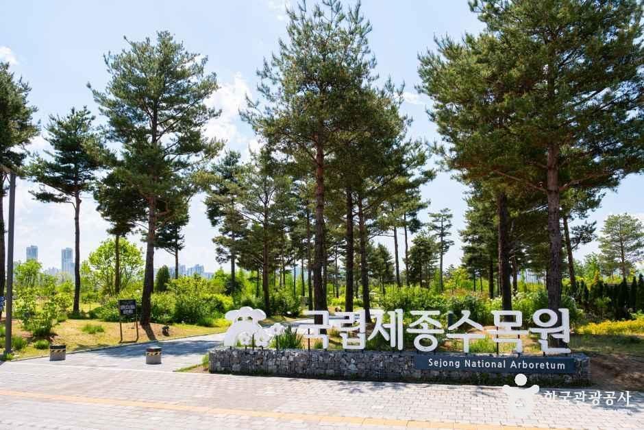 국립세종수목원 여행 추천 - 메고지고 국립세종수목원 여행 추천 - 메고지고