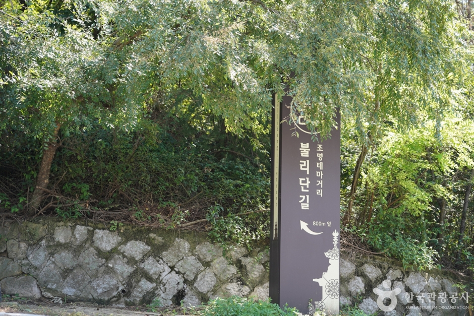 불리단길 여행 추천 - 메고지고 불리단길 여행 추천 - 메고지고