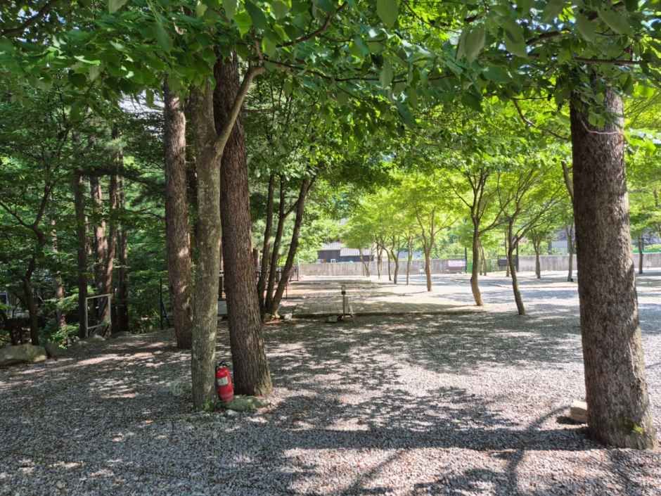 평창하늘캠핑장 여행 추천 - 메고지고 평창하늘캠핑장 여행 추천 - 메고지고