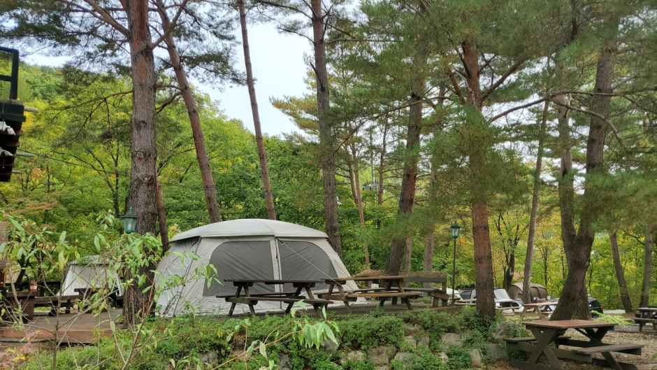 평창하늘캠핑장 여행 추천 - 메고지고 평창하늘캠핑장 여행 추천 - 메고지고