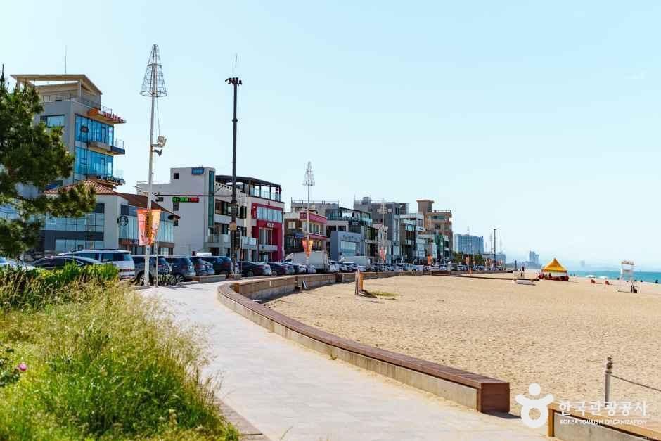안목해변 여행 추천 - 메고지고 안목해변 여행 추천 - 메고지고