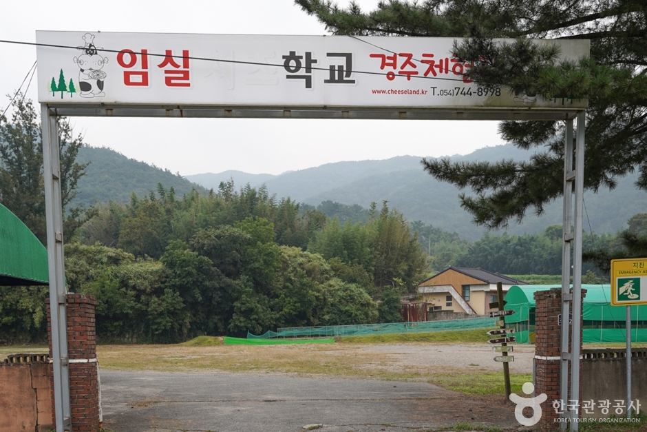 임실치즈학교 경주체험장 여행 추천 - 메고지고 임실치즈학교 경주체험장 여행 추천 - 메고지고