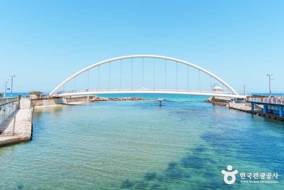 강문솟대다리 여행 추천 - 메고지고