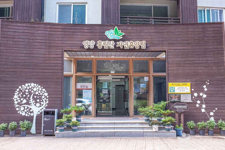 흥림산자연휴양림 (영양에코둥지) 여행 추천 - 메고지고 흥림산자연휴양림 (영양에코둥지) 여행 추천 - 메고지고