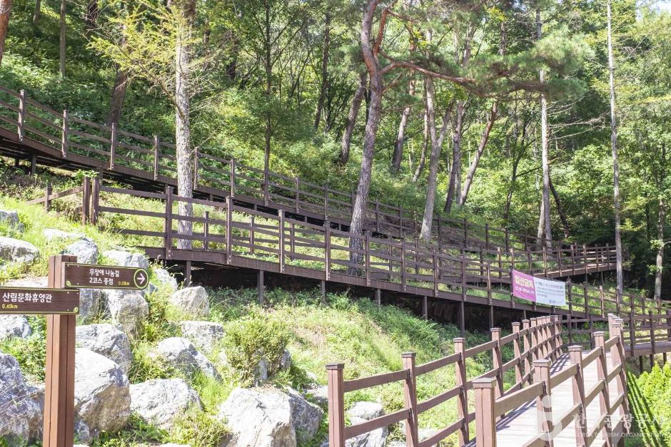 흥림산자연휴양림 (영양에코둥지) 여행 추천 - 메고지고 흥림산자연휴양림 (영양에코둥지) 여행 추천 - 메고지고